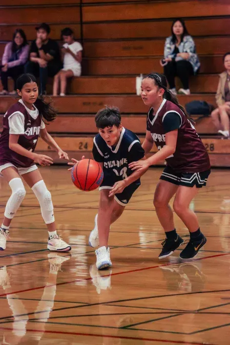 DLEAG basketball photo