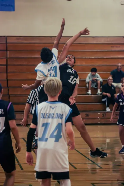 DLEAG basketball photo