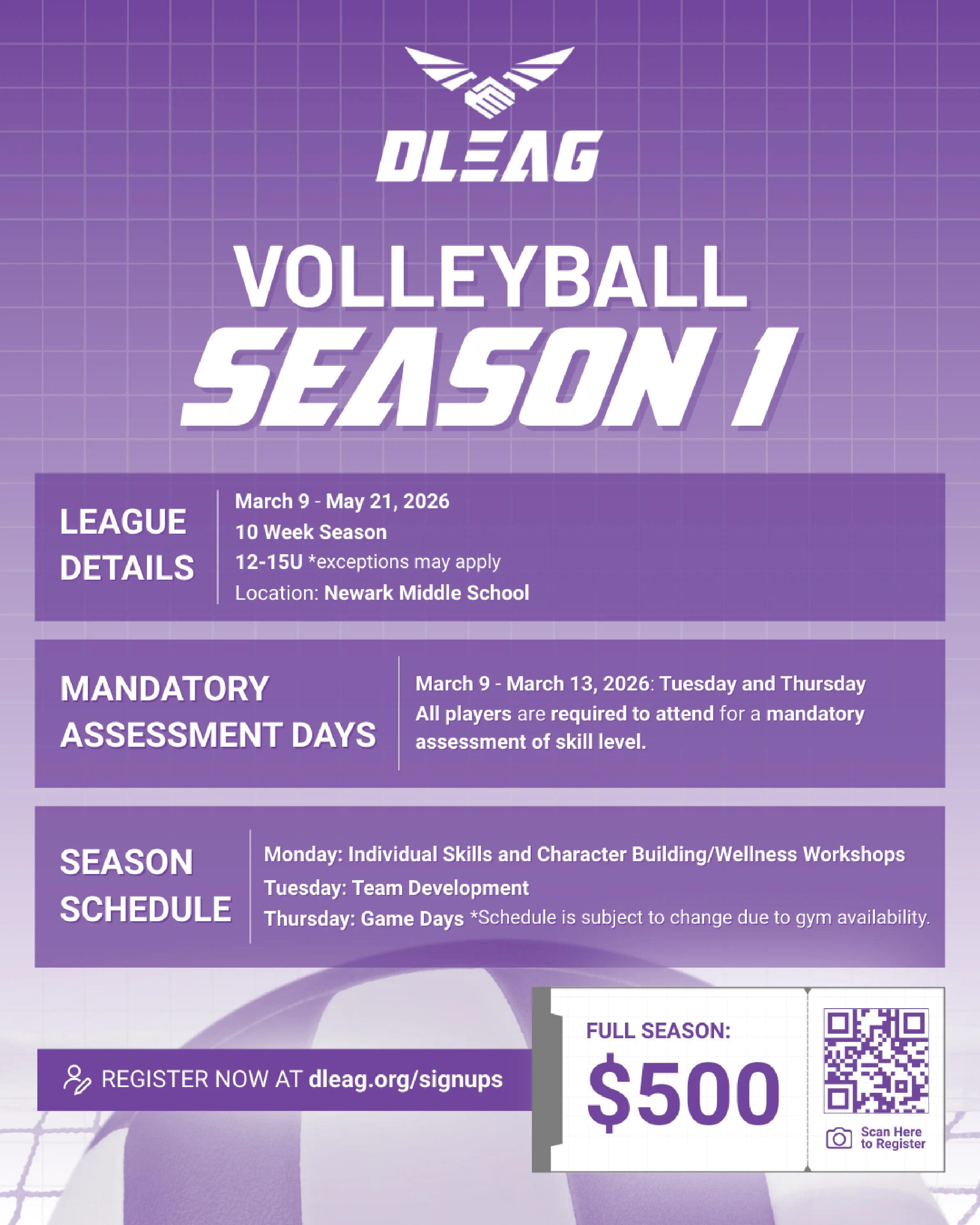 Season 1 Volleyball Flyer